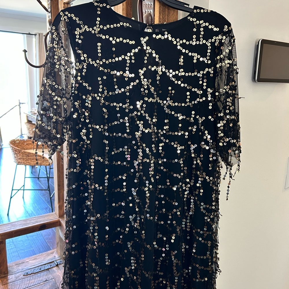 ZARA Beaded Party Dress